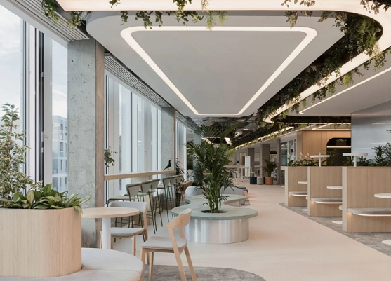 اصول دکوراسیون داخلی اداری