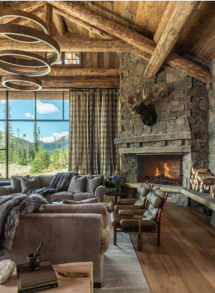 هدف از طراحی روستیک چیست؟